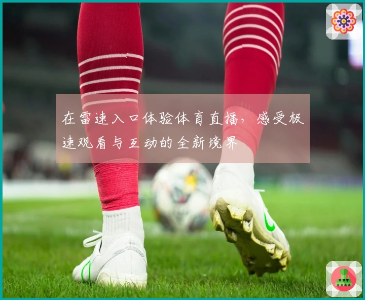 在雷速入口体验体育直播，感受极速观看与互动的全新境界