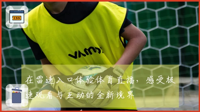 在雷速入口体验体育直播，感受极速观看与互动的全新境界